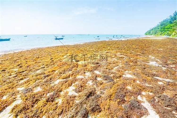 海南瓜施肥是什么肥料
