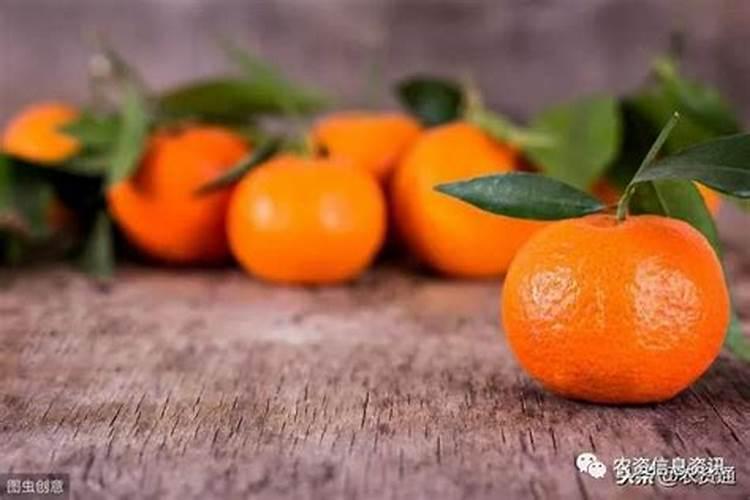 进口水溶肥多少钱一吨