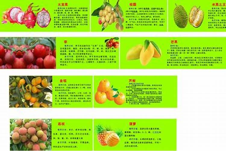 盆栽水果浇水施肥(盆栽水果用什么肥料好)