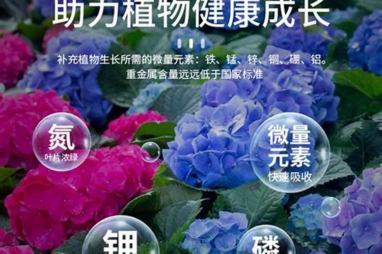 绿萝什么季节施肥最好