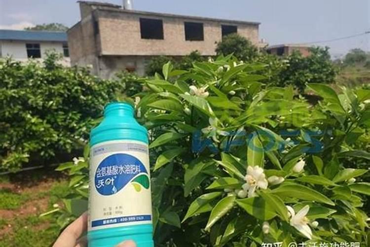 中考体育神器,啥是“氮泵”？