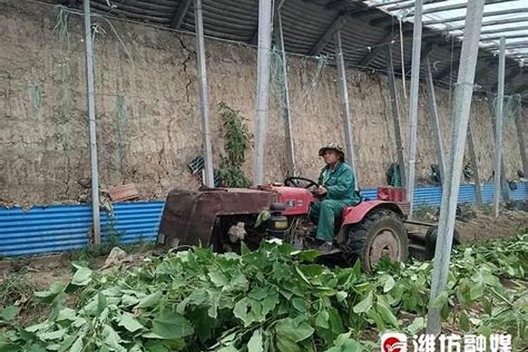 利用秸秆怎样做肥料