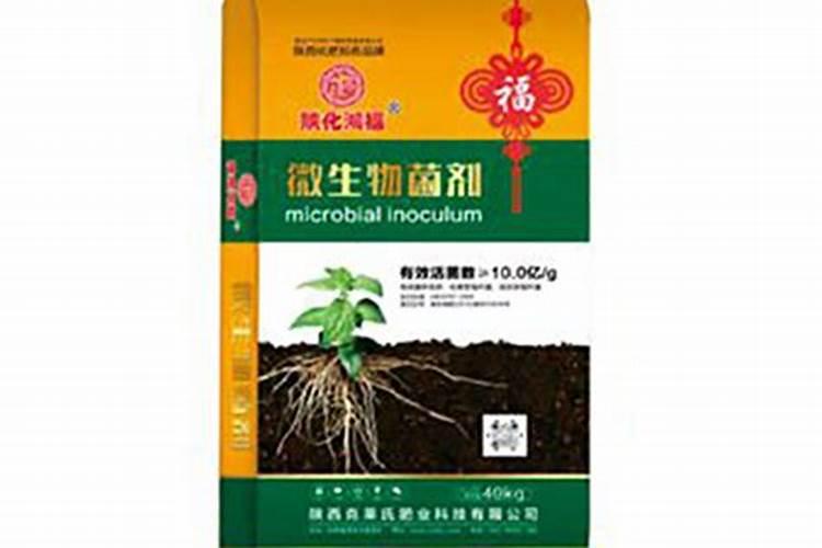 果树缺钙用什么肥料最适合(果树需补什么钙肥最好)