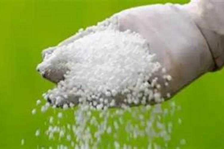 针状肥是什么？