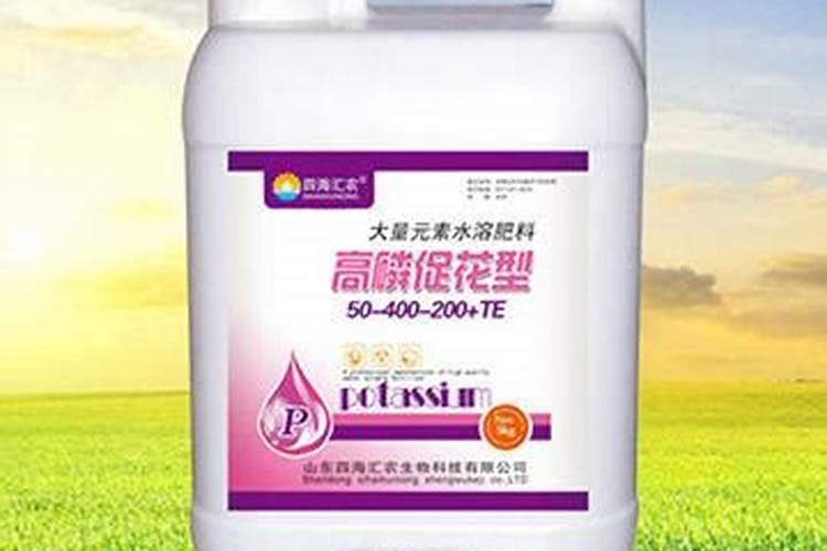 蓝莓施什么肥最好