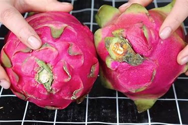 红心火龙果不红怎么回事