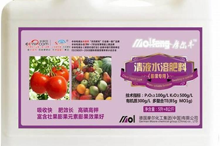 爆盆的多肉怎么施肥(多肉爆盆用什么肥)