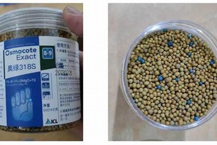 种玉米控释肥一定比复合肥好？别花“冤枉”钱,两者有哪些区别？