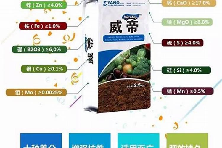 白茶什么时施肥最佳？