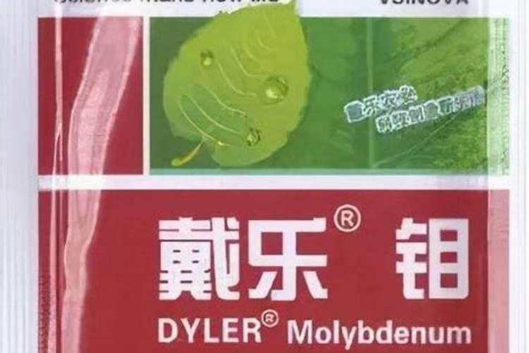 平安树怎么浇水方法