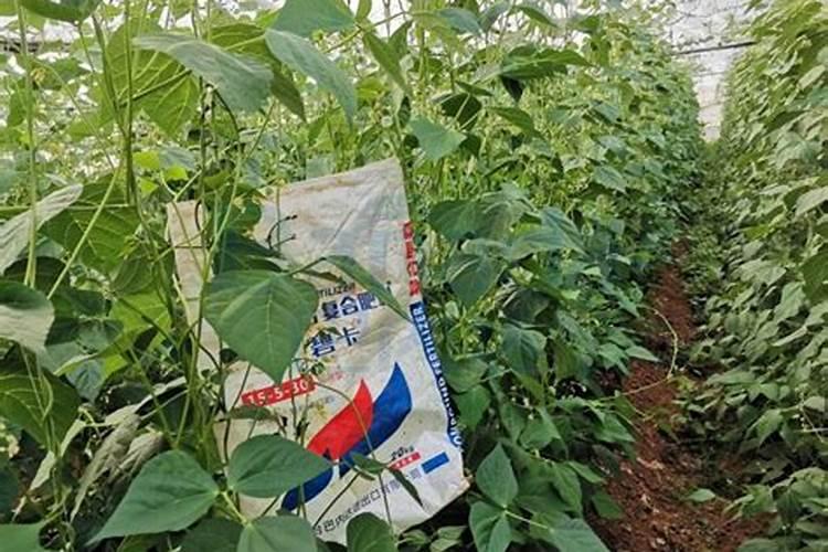 生根粉直接兑水浇上可以吗生根粉放水里几天还可以用吗