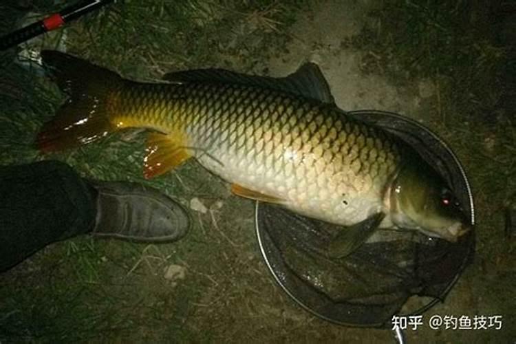 秦皇岛有哪些特产 河北秦皇岛特产