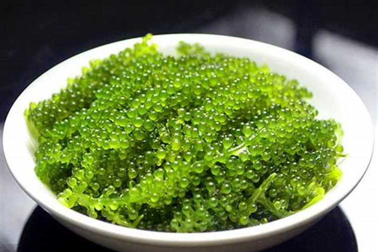 葡萄生长中后期,对肥料的使用都有哪些讲究？