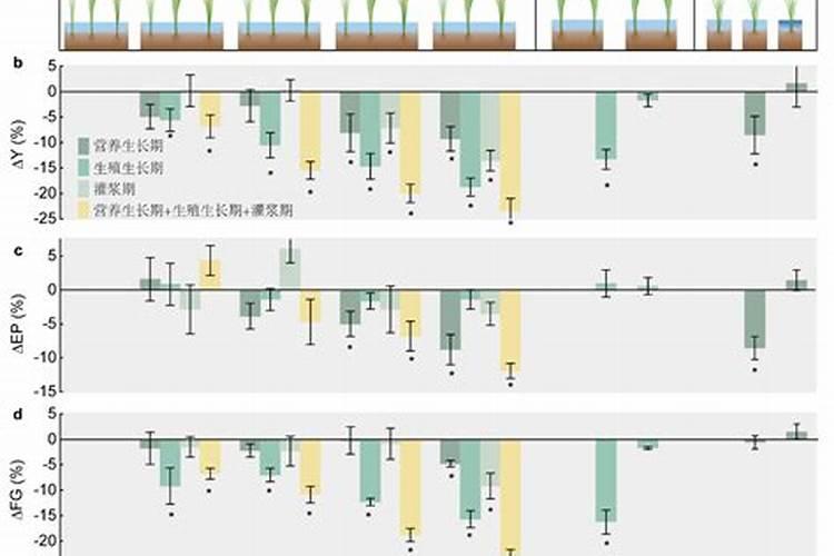 家庭中常见的氮肥