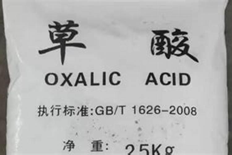有不适合摆放在室内的绿植么？