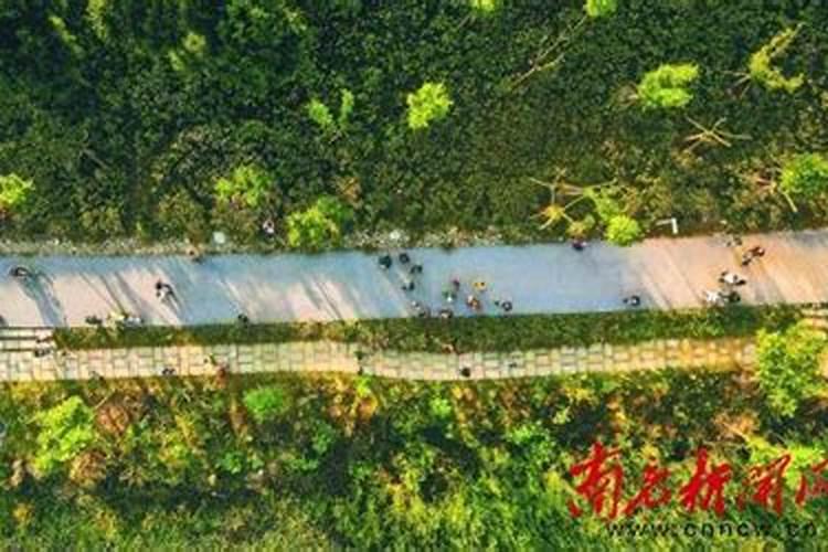 益施帮叶面肥最大用量是多少