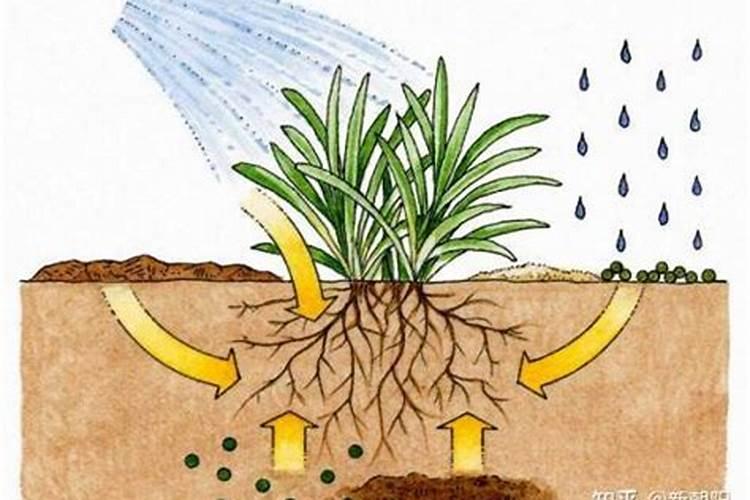 玉米苗期干旱了打磷酸二氢钾加芸苔素和尿素水可以缓解旱情吗？