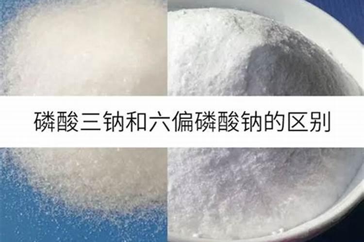 高产辣椒种植怎么做