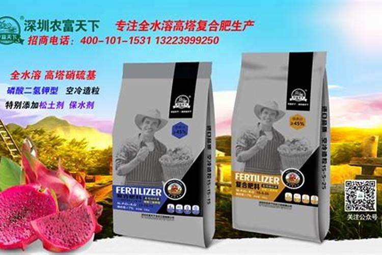 火龙果北方大棚种植