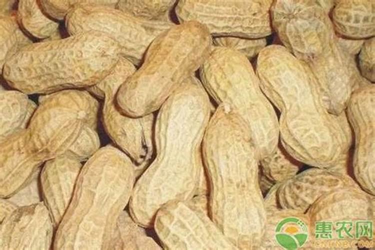 花生用什么叶面肥好 附种植方法