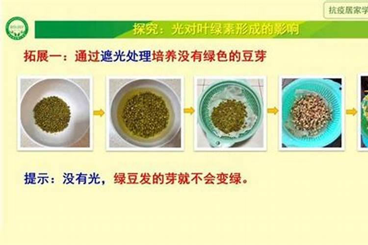 酶解鱼蛋白肥料功效