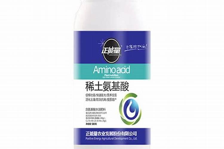 大棚西瓜应怎么育种