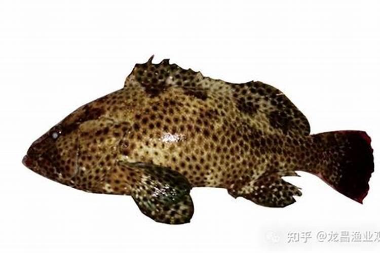 大海有什么宝藏？