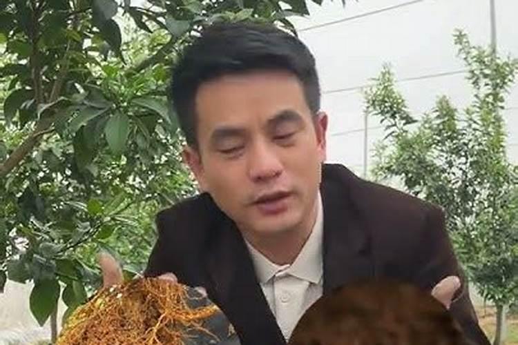 快八月了。我柑橘树严重缺肥。请问高人能不能施肥,用什么肥最好？