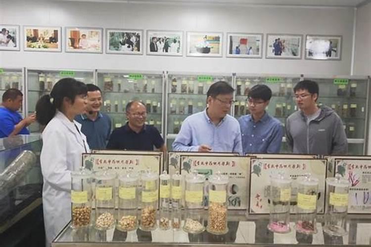 水溶肥国内排名第一的是哪个