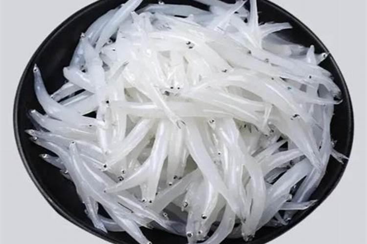鱼肚子里的白色物质是什么？