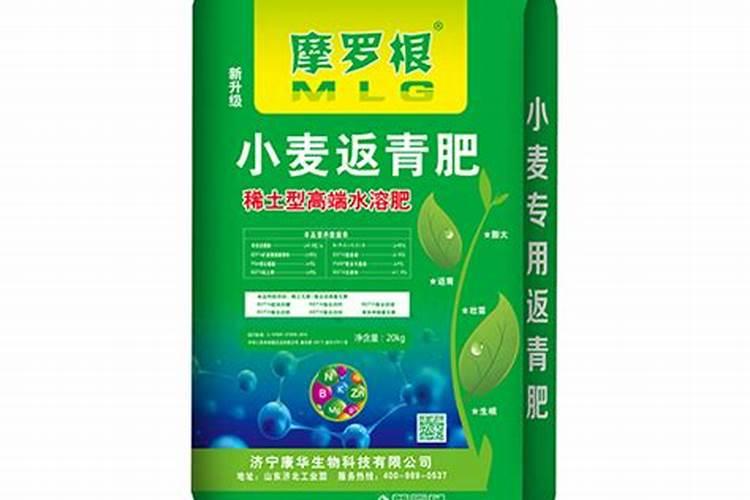 桂花怎样追肥