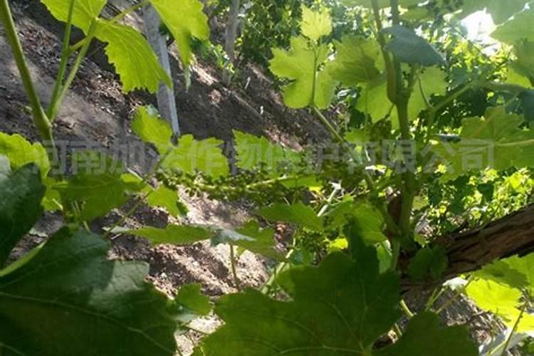 广州城中村,人流量大的地方有哪些