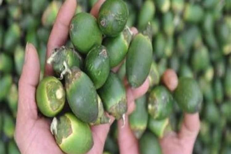 只用水能种出大蒜来吗