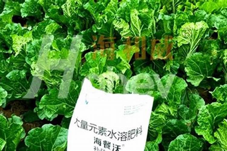 国内比较好水溶肥厂家有哪些