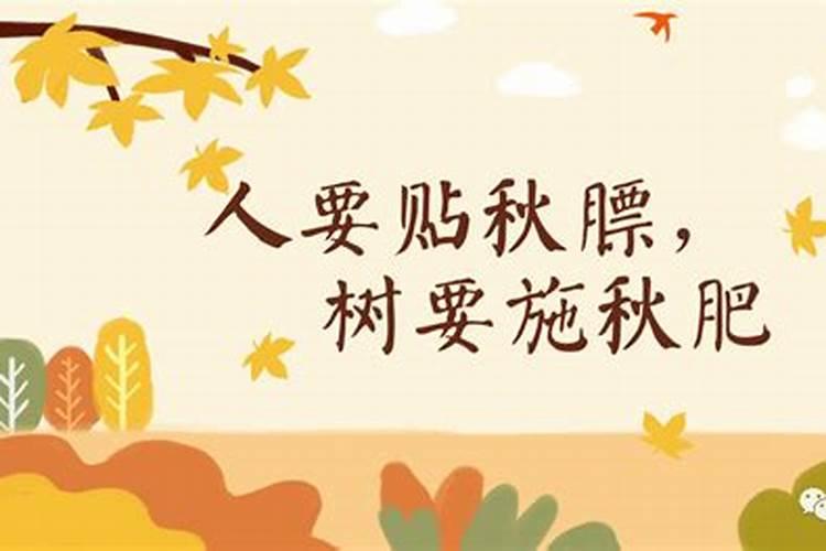 硅肥的作用及使用方法