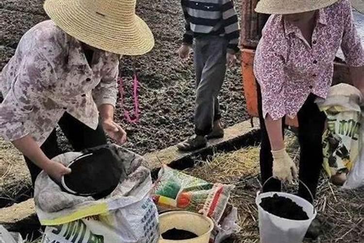 各位专家:追施水溶肥一年施几次,大概什么时候施,谢谢!