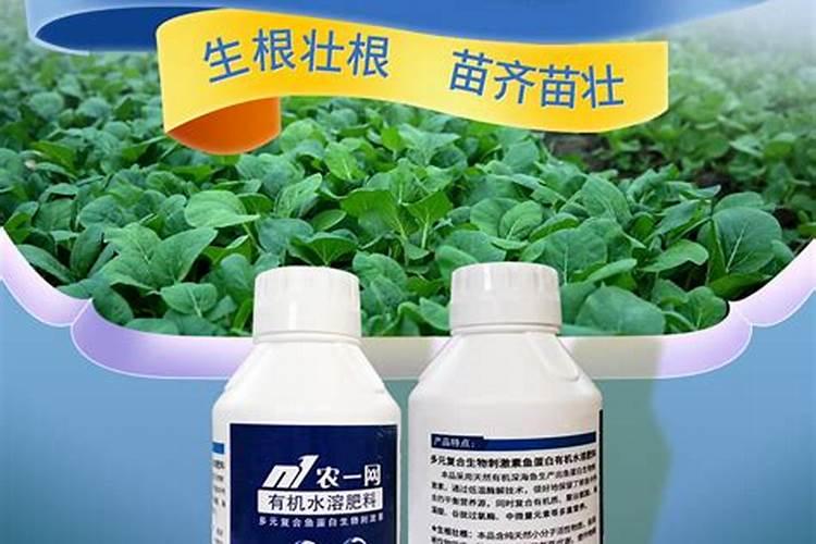 鱼蛋白哪个牌子好？
