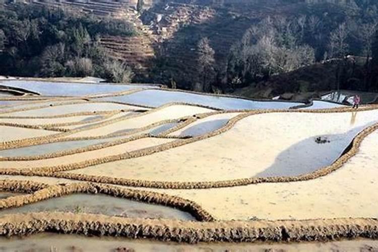小区外面的荒地是否具备种菜的条件呢
