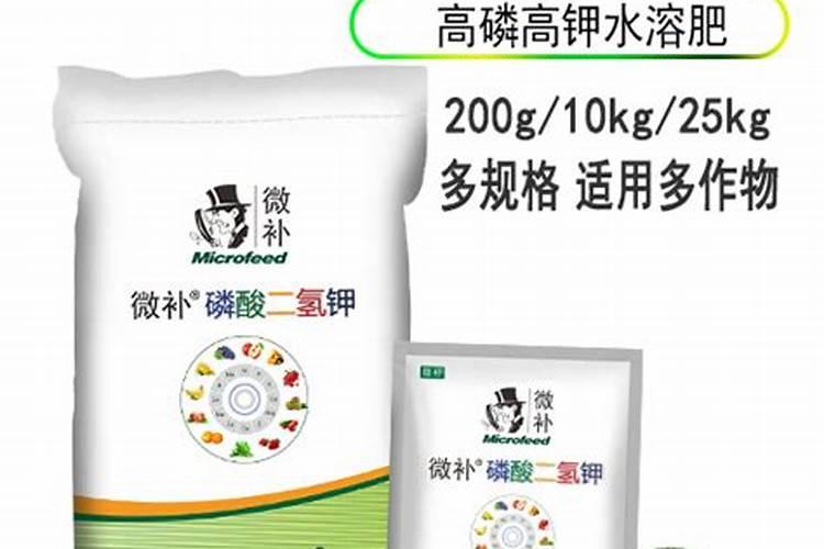 我的黄瓜秧硼肥施多了,应该怎么办叶子黄边