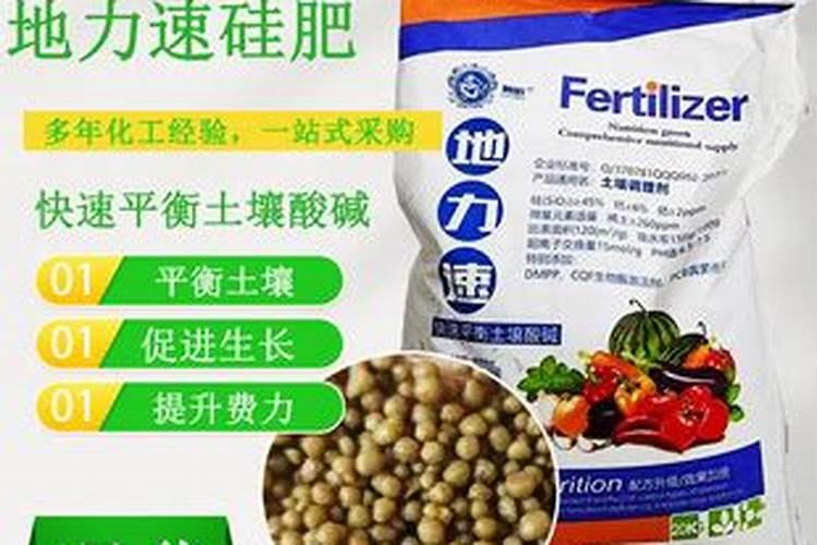 种植玉米土壤调理剂怎样使用效果好
