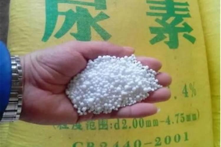 高塔氮肥和尿素哪个好？