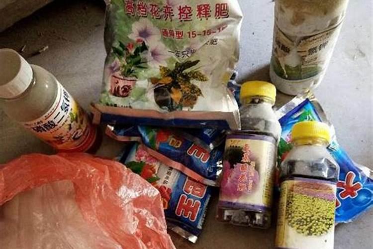 盆栽植物用什么肥料好