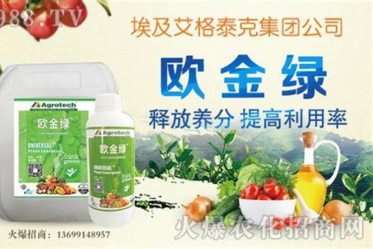 哪种叶面用的钙肥吸收好