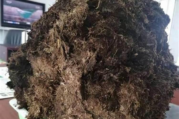 生物颗粒设备厂家