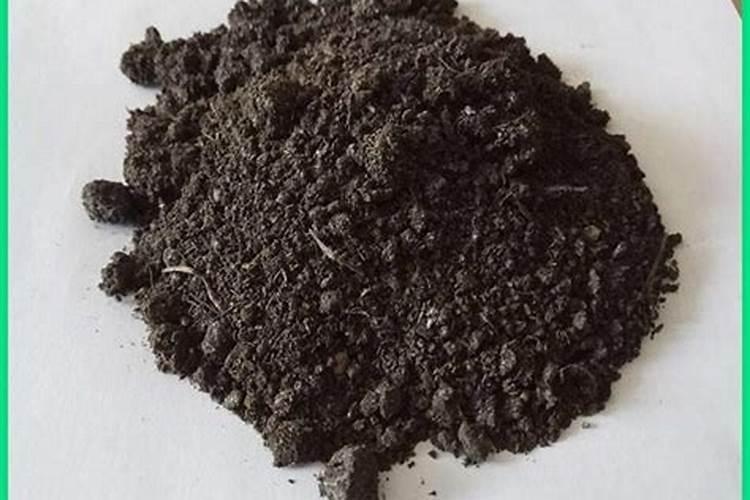 哪些领域一般用枯草芽孢杆菌比较多呢？
