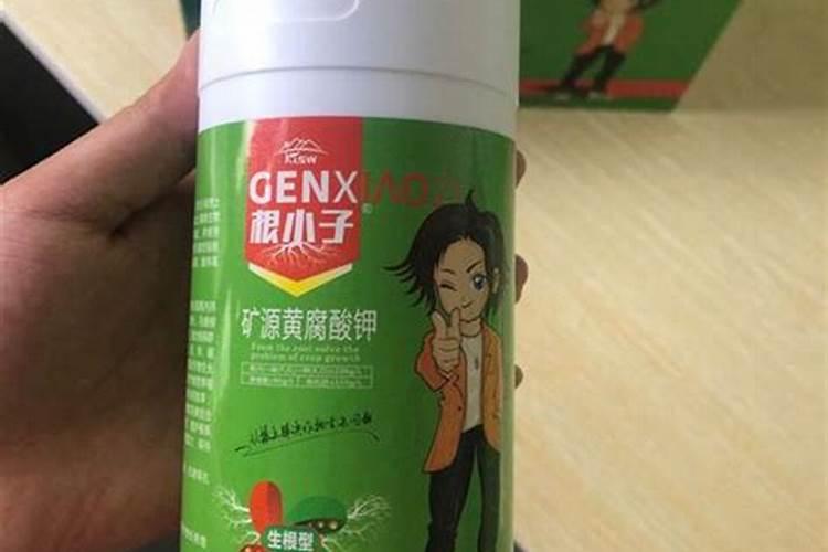广东可以种植枸杞吗？
