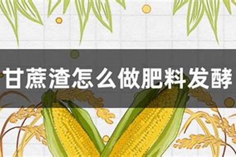 甘蔗十大最佳肥料