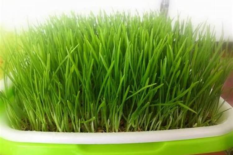 磷矿粉的化学式