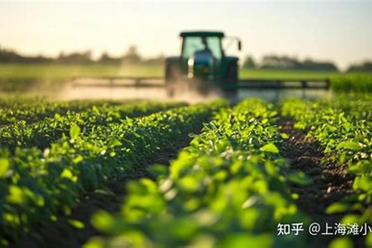 水稻施肥方法是什么？用量多少？