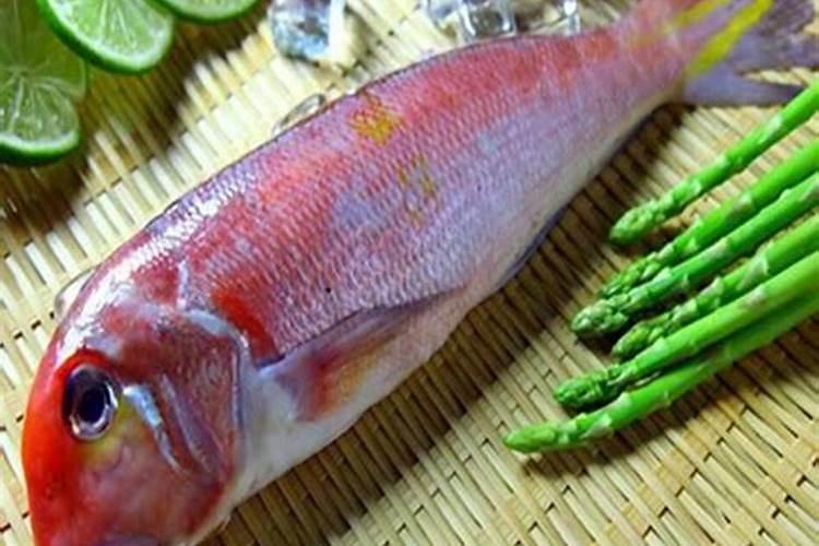 香樟树叶子发黄怎么治